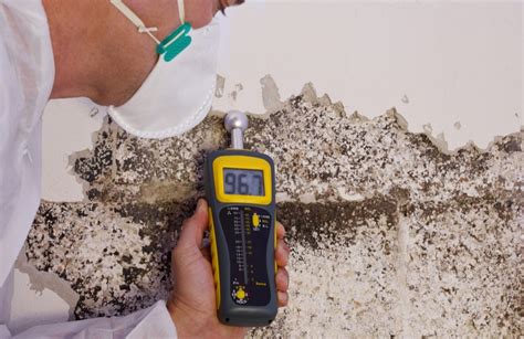 termite inspection moisture meter|termite and moisture inspection cost.